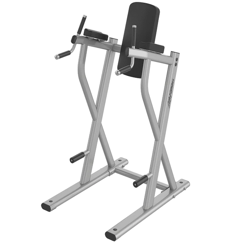 Life Fitness Dip/Leg Raise – תמונה 3
