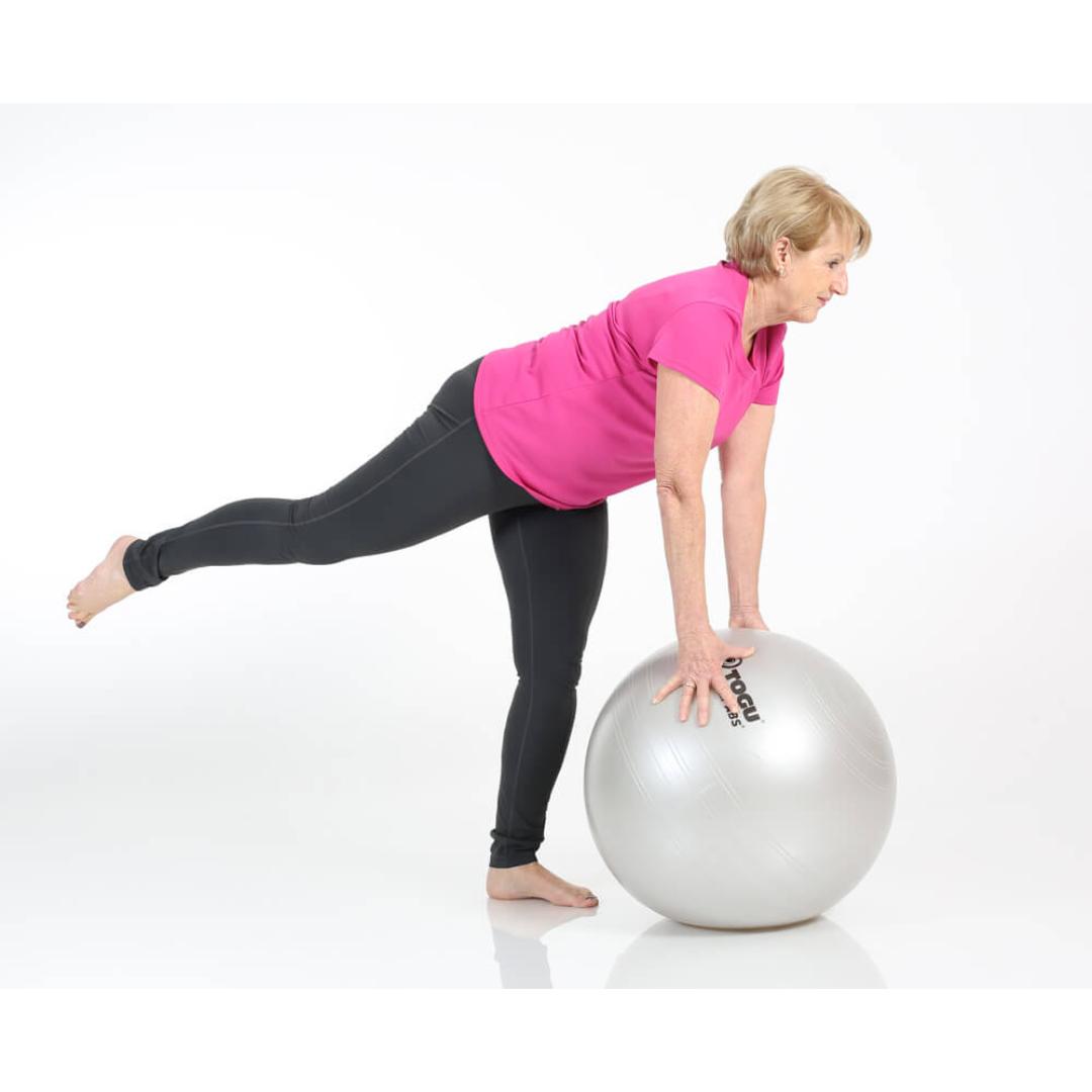 כדור פיטבול (מגוון גדלים) Powerball® Premium ABS® Maternity – תמונה 5