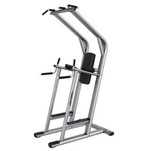 Life Fitness Chin/Dip/Leg Raise