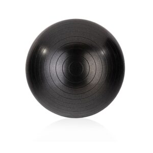כדור פיזיו שחור 65 ס"מ Physio Ball ABS