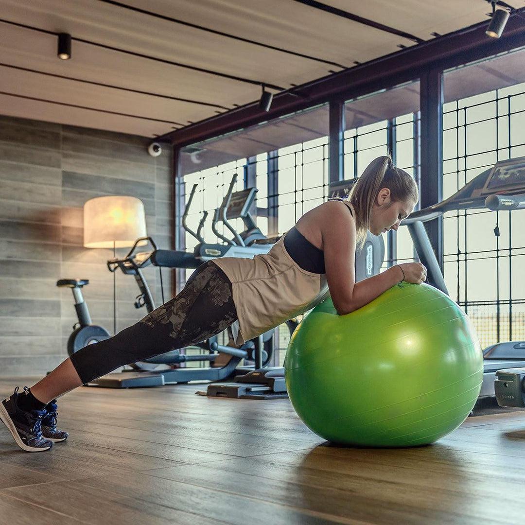 כדור פיזיו שחור 65 ס"מ Gymnic Plus BRQ – תמונה 6