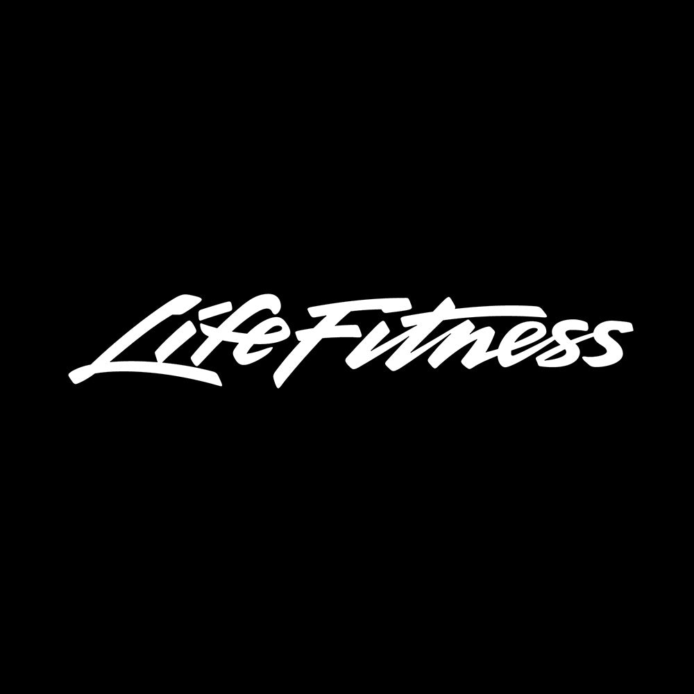 Life Fitness Dip/Leg Raise – תמונה 2